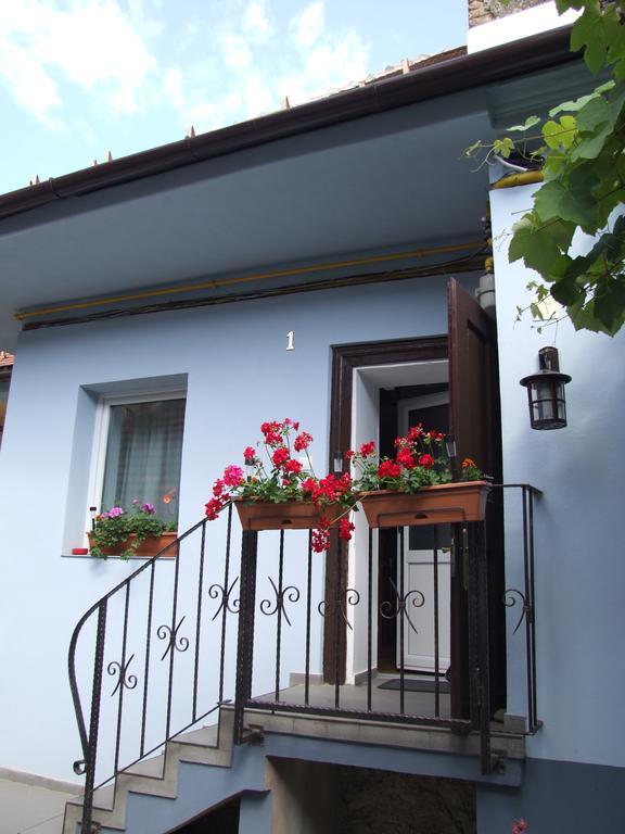 מלון בראשוב Blue House מראה חיצוני תמונה